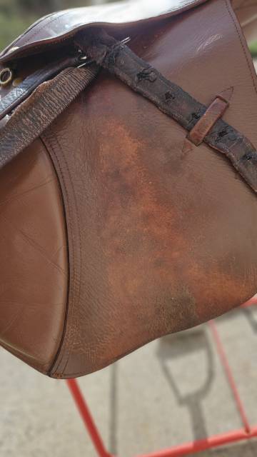 Sella mista   17.5" - 2010