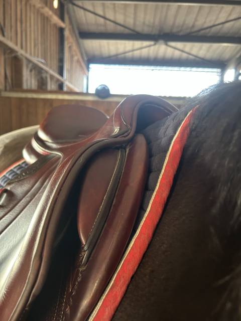 Sella mista CWD  17.5" - 2021