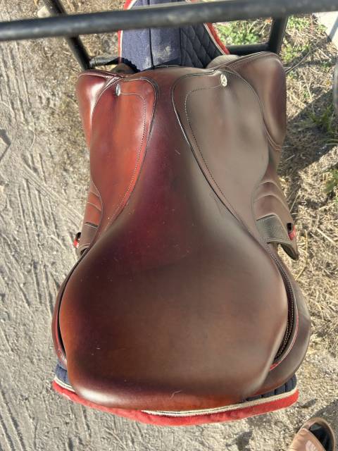 Sella mista CWD  17.5" - 2021