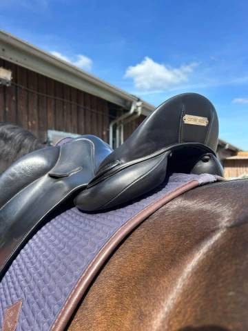 Sella da dressage  Manta  17.5" - 2023