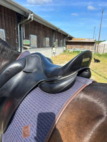 Sella da dressage  Manta  17.5" - 2023