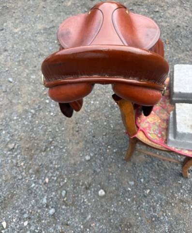 Sella western   17" - 2025