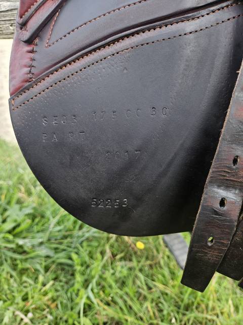 Sella da salto ostacoli CWD  17.5" - 2017