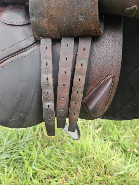Sella da salto ostacoli CWD  17.5" - 2017