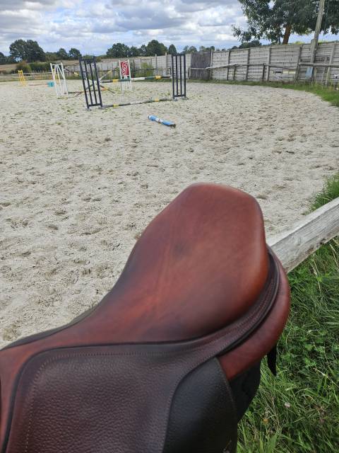 Sella da salto ostacoli CWD  17.5" - 2017