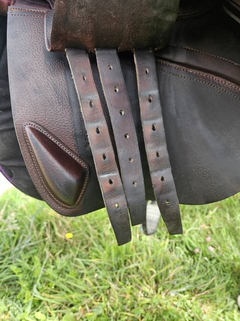 Sella da salto ostacoli CWD  17.5" - 2017