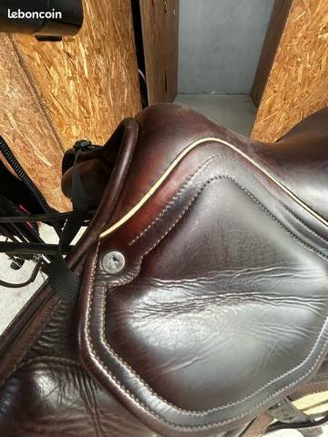 Sella da salto ostacoli   17.5" - 2018
