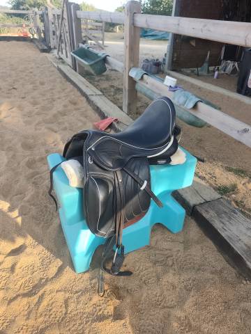 Sella da dressage   17.5" - 2024