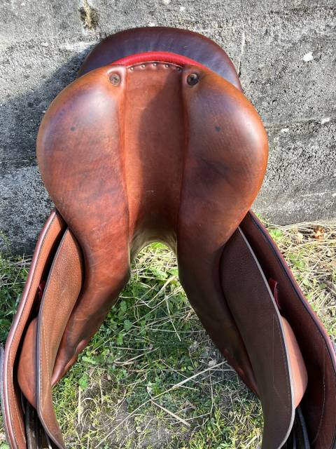 Sella da salto ostacoli  DR LINE  17" - 2019