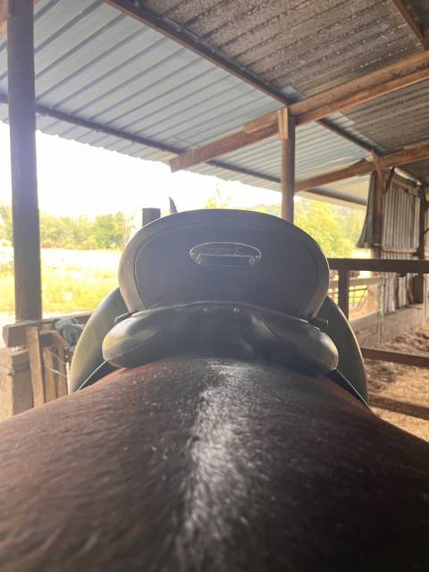 Sella da dressage Kieffer  17" - 2016