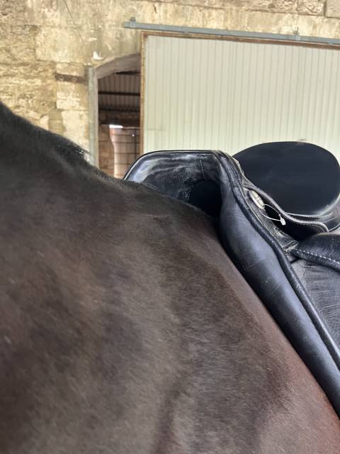 Sella da dressage Kieffer  17" - 2016