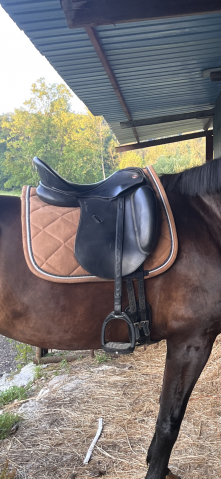 Sella da dressage Kieffer  17" - 2016