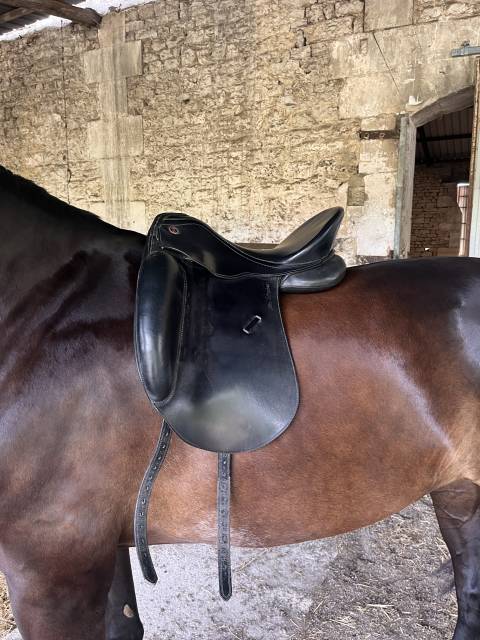 Sella da dressage Kieffer  17" - 2016