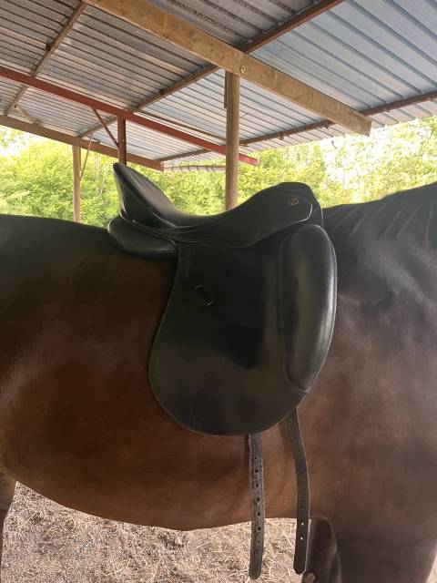 Sella da dressage Kieffer  17" - 2016