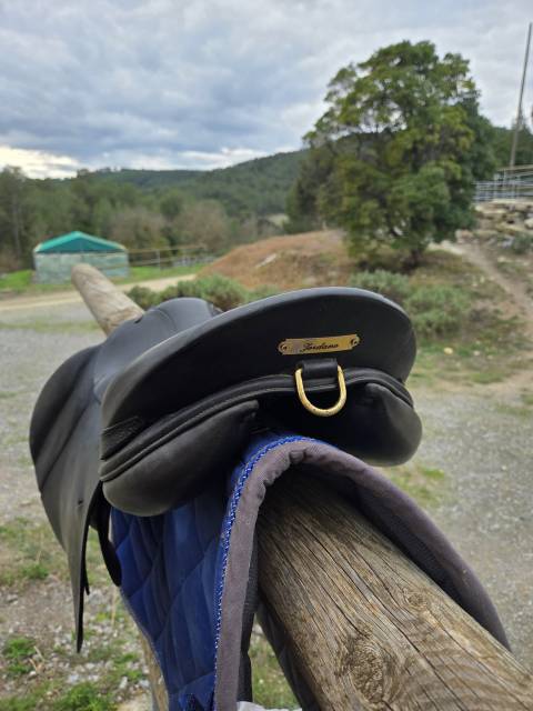 Sella mista Forestier  16" - 2015