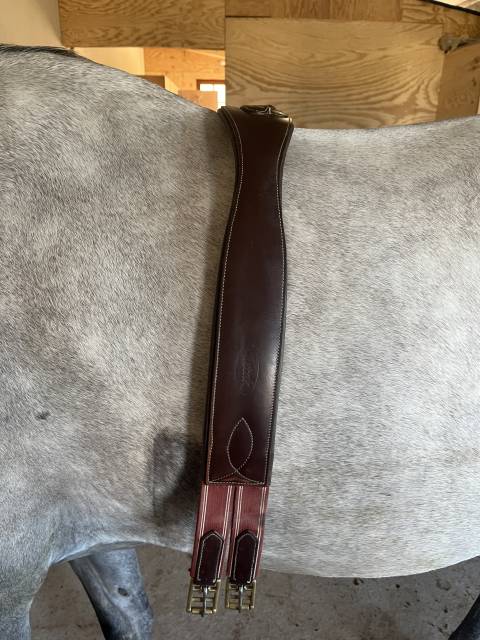 Sella da salto ostacoli Butet  17.5" - 2019