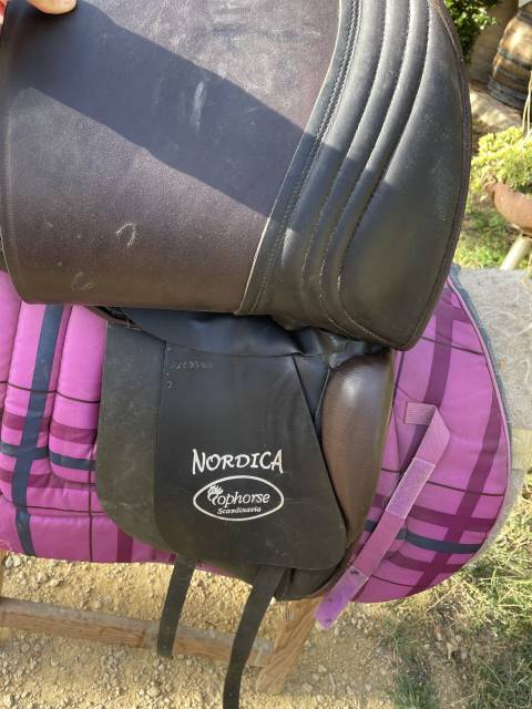 Sella islandese Stubben Nordica  17.5" - 1999
