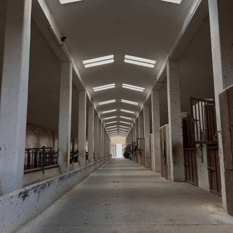     ? Cercasi Istruttore 2&deg; Livello &ndash; Foggia