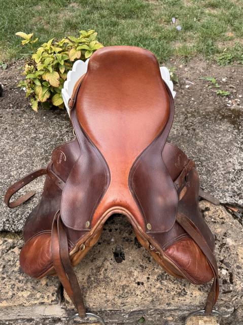 Sella da salto ostacoli Prestige Italia  17.5" - 2014
