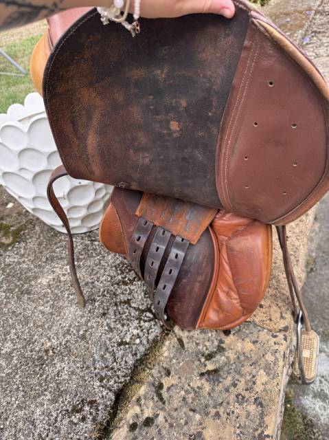 Sella da salto ostacoli Prestige Italia  17.5" - 2014