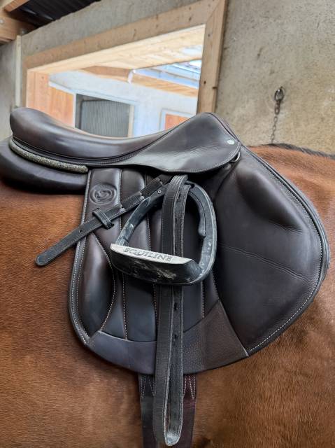 Sella mista Forestier  18" - 2023