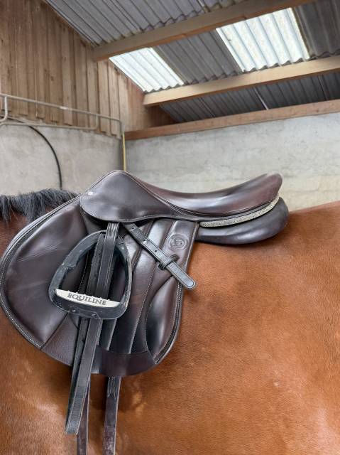 Sella mista Forestier  18" - 2023