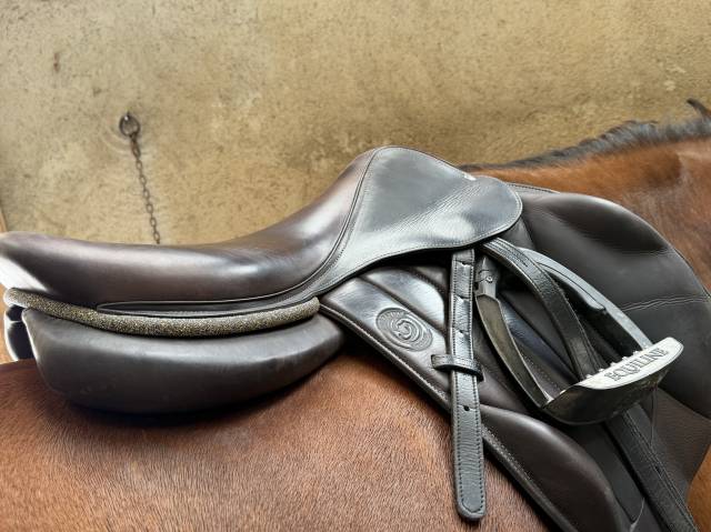 Sella mista Forestier  18" - 2023