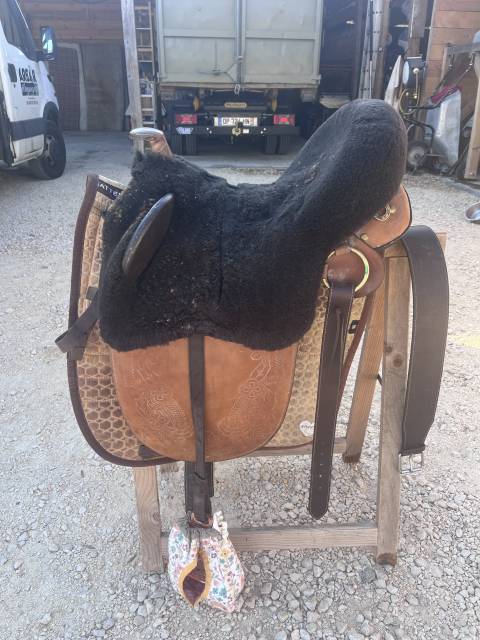 Sella australiana   17.5" - 2000