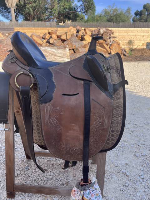 Sella australiana   17.5" - 2000