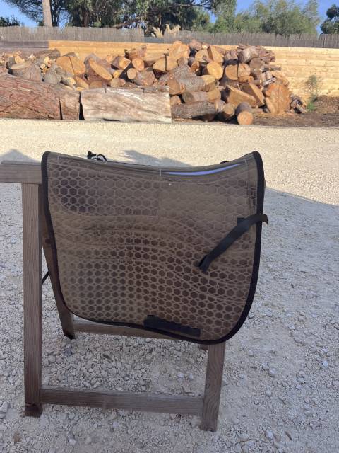 Sella australiana   17.5" - 2000