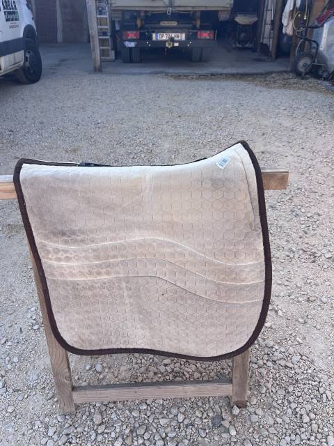 Sella australiana   17.5" - 2000