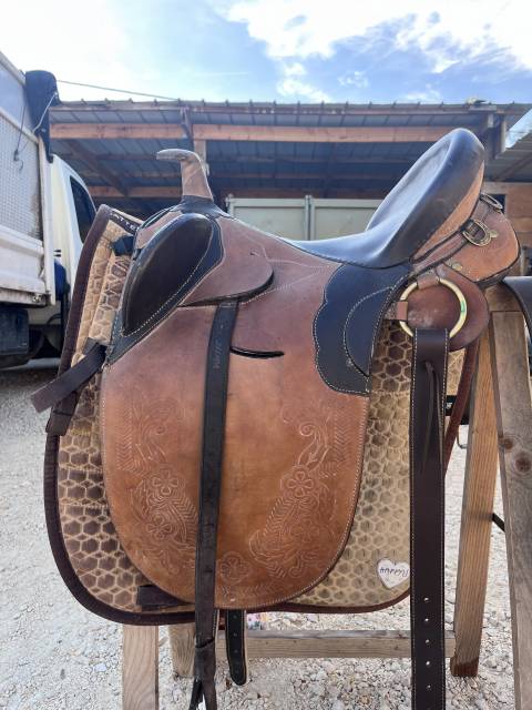 Sella australiana   17.5" - 2000