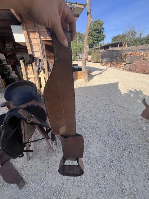 Sella australiana   17.5" - 2000