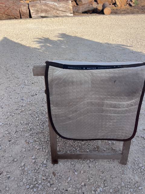 Sella australiana   17.5" - 2000