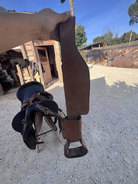 Sella australiana   17.5" - 2000