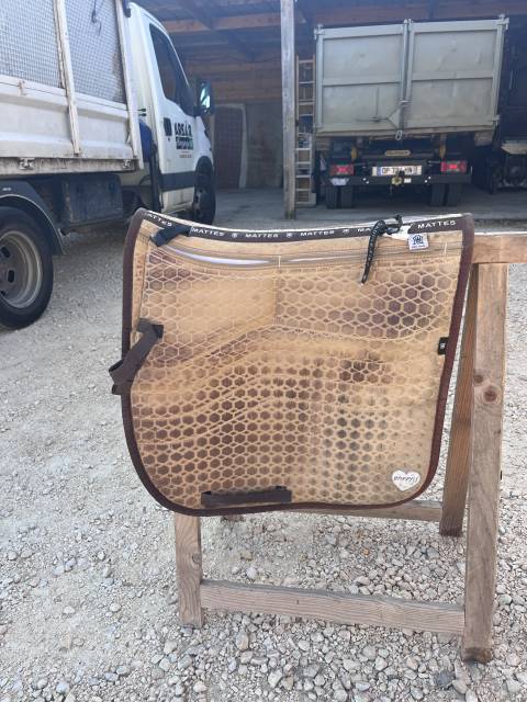 Sella australiana   17.5" - 2000