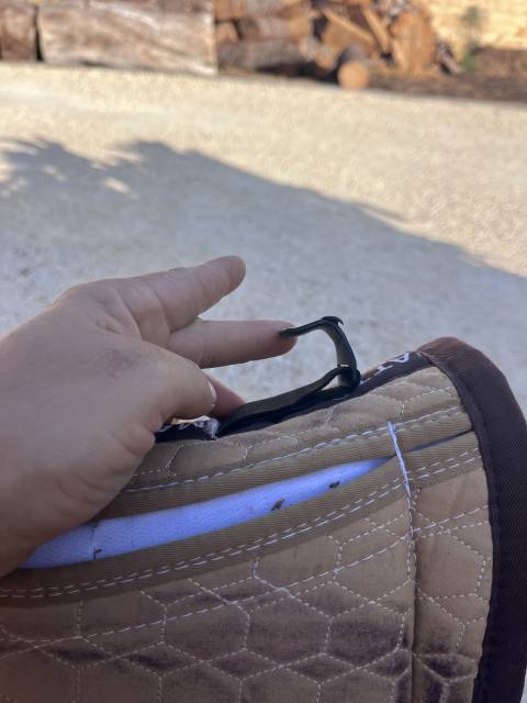 Sella australiana   17.5" - 2000