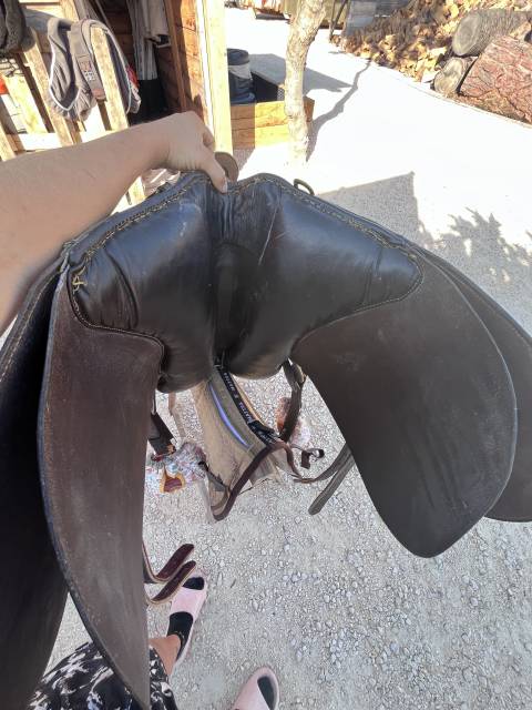 Sella australiana   17.5" - 2000
