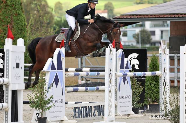 Castrone Cavallo da Sport Swizzero In vendita 2016 Baio ,  URANUS DE LA FOLIE