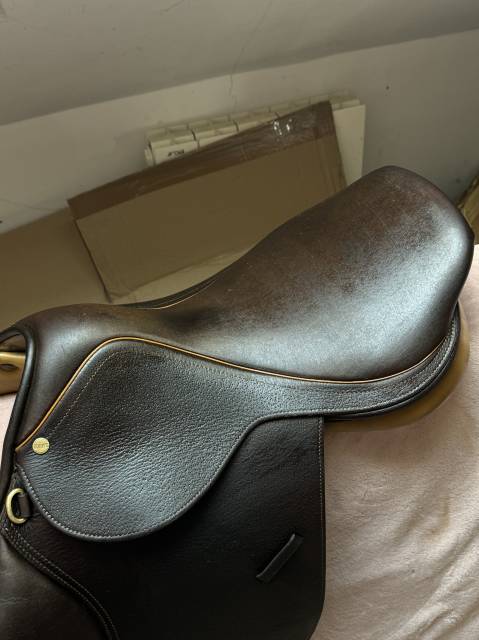 Sella mista Terrys Sensor 17" - 2020