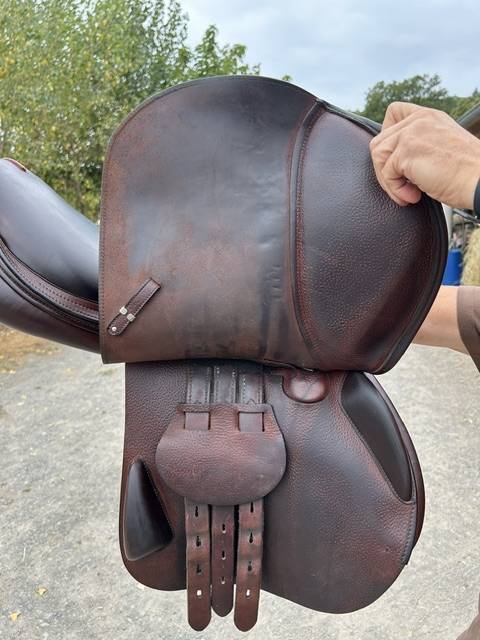 Sella da salto ostacoli Equipe  17.5" - 2021