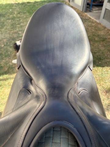 Sella da dressage Childeric  17.5" - 2020