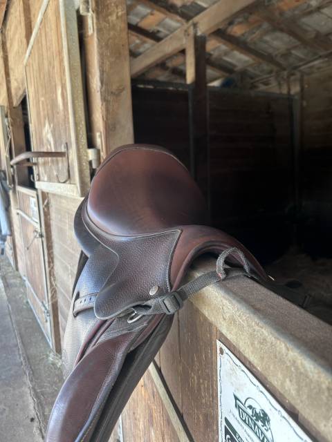 Sella da salto ostacoli Forestier CLUB  17" - 2022