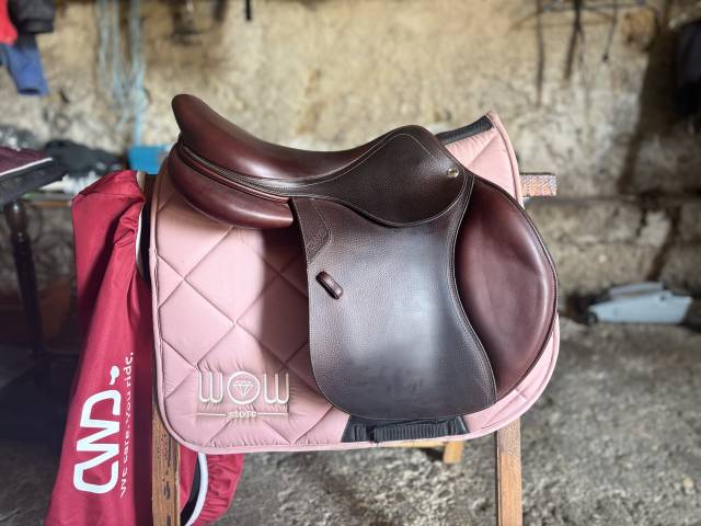 Sella da salto ostacoli CWD SE03 selle d&rsquo;obstacles  17.5" - 2017