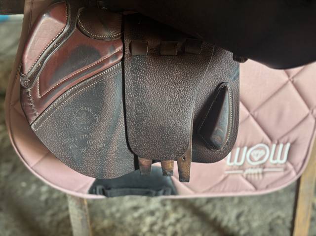Sella da salto ostacoli CWD SE03 selle d&rsquo;obstacles  17.5" - 2017