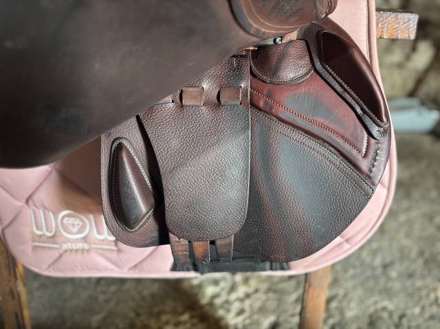 Sella da salto ostacoli CWD SE03 selle d&rsquo;obstacles  17.5" - 2017