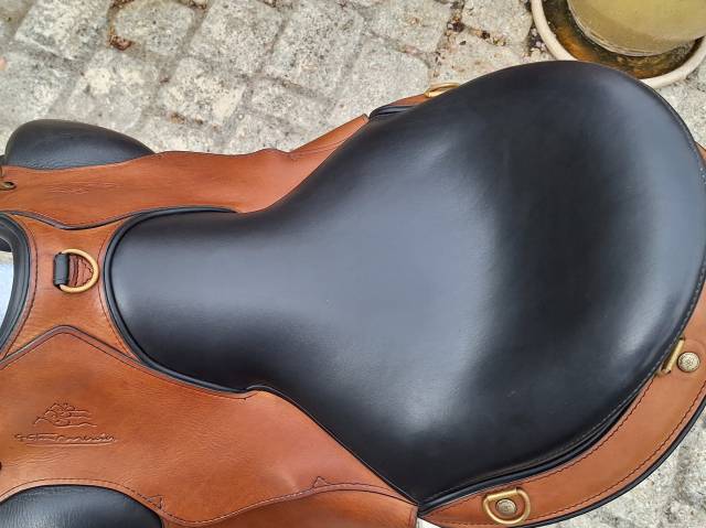 Sella da endurance Gaston Mercier MUSE 17.5" - 2022