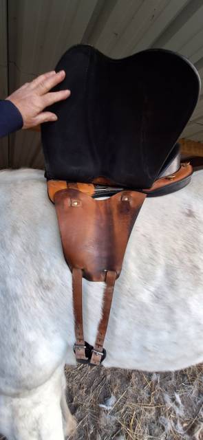 Sella da endurance Gaston Mercier MUSE 17.5" - 2022