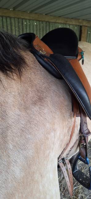 Sella da endurance Gaston Mercier MUSE 17.5" - 2022