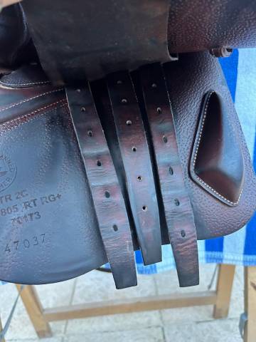 Sella mista CWD  17" - 2019